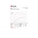 BMW M4 Sportschalldämpfer Remus  Gigamot Shop MINI & BMW Tuning
